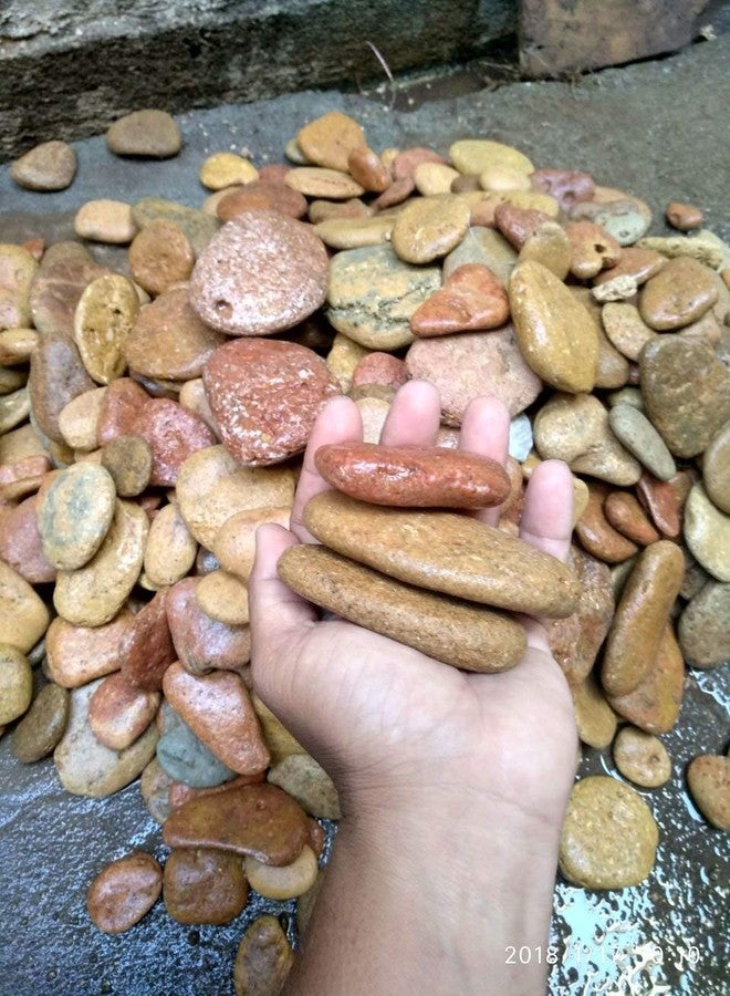 Maalavya Multi Color Flat unpolished River Stones for Home and Garden, Painting, Table Decor, Aquarium Substrate (1Kg) - Image 2